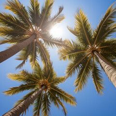 Fototapeta na wymiar Looking up to the blue sky win sun behind the palm trees