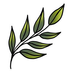 leaves illustration