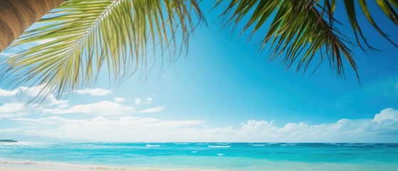 Fototapeta na wymiar Paradise beach with palm trees and blue sky