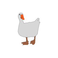 the duck is turning its head