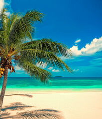 Tropical beach with coconut tree on the beach shore