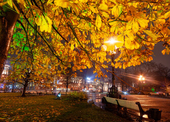 Evening view of empty benches in a city park during the rain. Catherine Garden, Nevsky Prospekt,...
