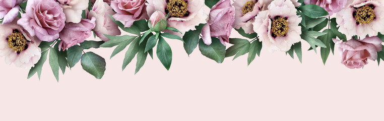 Floral banner, header with copy space. Pink  peony and roses isolated on pastel background. Natural...