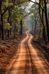 Obraz premium path in the forest