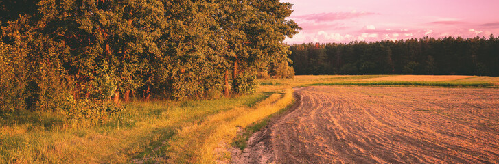Rural landscape in the evening at sunset. An arable field on the edge of a forest. Horizontal banner