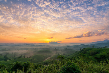 Sunrise on Long Coc tea hill, Phu Tho province, Vietnam.