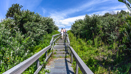People Girls Walking Boardwalk Walkway Steps Vegetation Beach Tropical Coastline Going Home Behind Photograph - 708436865