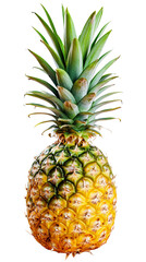 Fototapeta premium Pineapple Paradise: Ideal Clipart of Ananas for a Fresh and Vibrant Design Element.