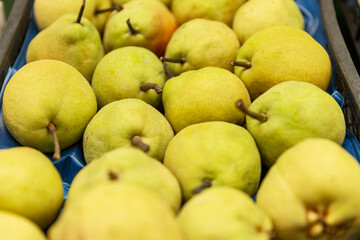Ripe pears on the counter in a store. Close-up. Eco products and vitamins.