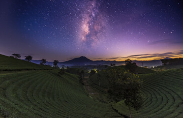Night on Long Coc tea hill, Phu Tho province, Vietnam.