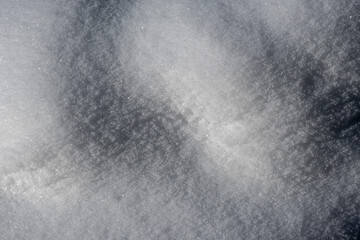 abstract bits of nature in winter snow - 708442432