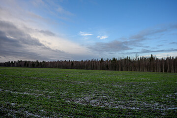 frozen agriculture fields in winter - 708443272