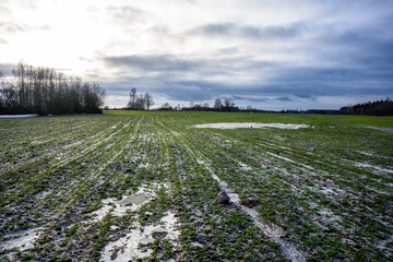 frozen agriculture fields in winter - 708443273