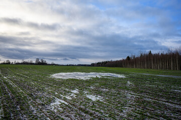 frozen agriculture fields in winter - 708443274