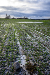 frozen agriculture fields in winter - 708443287