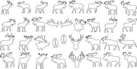 Fototapeta na wymiar Moose, vector illustration collection, various poses of moose, activities, perfect for web graphics, banners, templates. Detailed, scalable, editable moose drawings