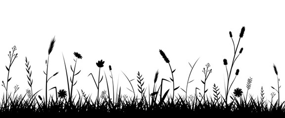 Meadow silhouette with grass and wild flowers in black on transparent background 