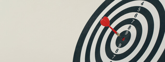 darts and business success goals concept