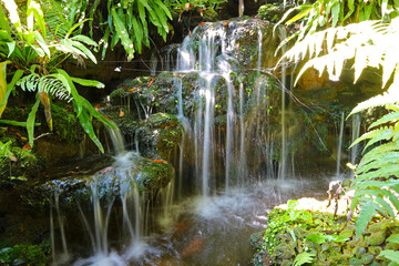 Cascading garden waterfalls with green foliage in foreground