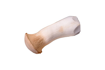 Pleurotus eryngii mushrooms on a dark concrete background