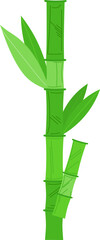 Green bamboo stalk with leaves on white background. Asian plant, nature element, eco-friendly theme vector illustration.