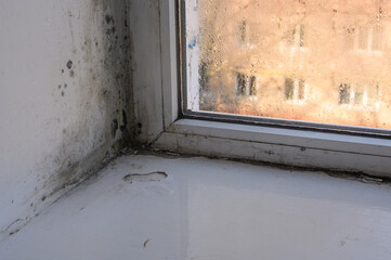 mold has formed near the fogged window.