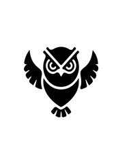 owl on white
