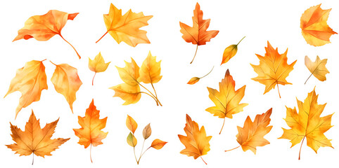 Watercolor autumn leave clipart for graphic resources