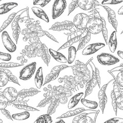 Brazil nut seamless pattern. Hand drawn Brazil nuts, flowers and leaves. Vector illustration black and white.