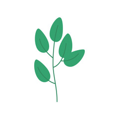 Botanical Decoration Elements Vector 