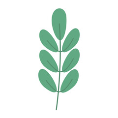 Botanical Decoration Elements Vector 