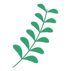 Botanical Decoration Elements Vector 