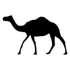 Camel Silhouette Set