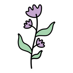 Cute Flower Vector Illustration 