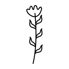 Cute Flower Lines Style Vector Illustration 