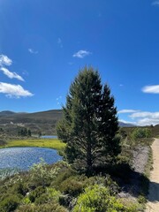 On a Scottish Highlands' trail. 