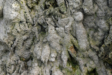 Rock cliff background, fossil rock, aquascape background material, paludarium