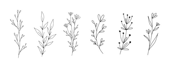 Set of botanical line art floral leaves, plants. Hand drawn sketch branches isolated on white background. Vector illustration	 - obrazy, fototapety, plakaty