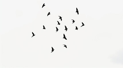 flock of birds flying sill