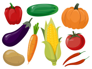 Vegetables illustration vector