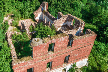 wild white stork (Ciconia ciconia) and its nest with chicks on top of the ruins of an ancient brick building,aerial view, European nature, Belarus