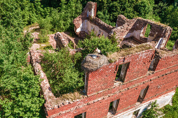 wild white stork (Ciconia ciconia) and its nest with chicks on top of the ruins of an ancient brick building,aerial view, European nature, Belarus