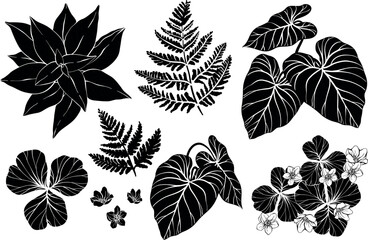 Floral silhouettes set. Leaves and herbs.