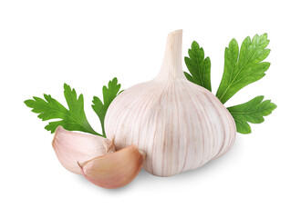 Fresh garlic and green parsley isolated on white