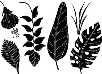 Set of silhouettes of jungle leaves and flowers