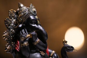 Ganesha wooden figurine closeup details