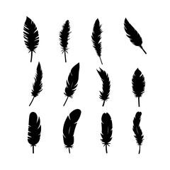 Feather black silhouette. Hand drawing a sketch of feather icons