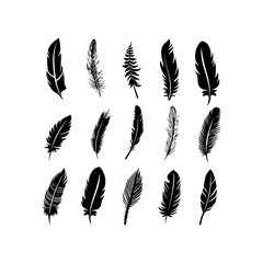 Feather black silhouette. Hand drawing a sketch of feather icons