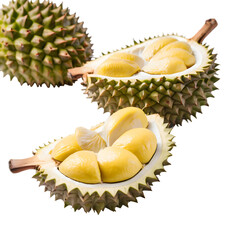 durian fruit on transparent
