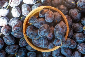Plum variety Hungarian. Fruit harvest on the table in the kitchen. Autumn blue plum. Vitamin food bowl.